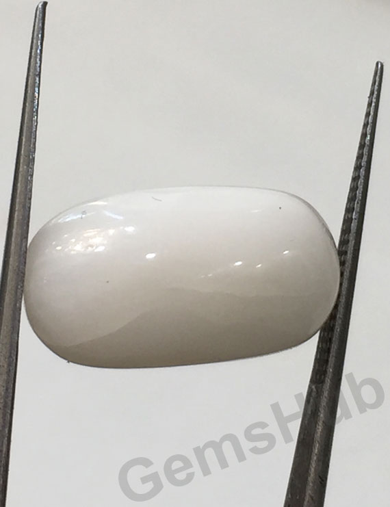 9.09 ct Natural Certified  White Coral/सफ़ेद मूंगा